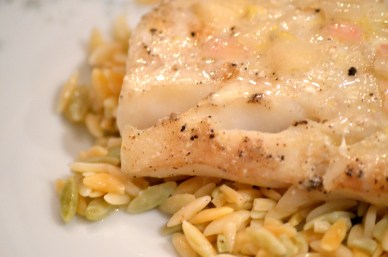 tilapia