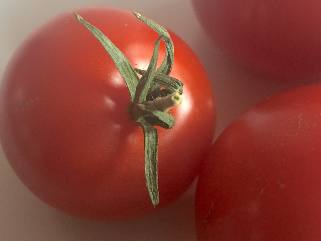 tomato