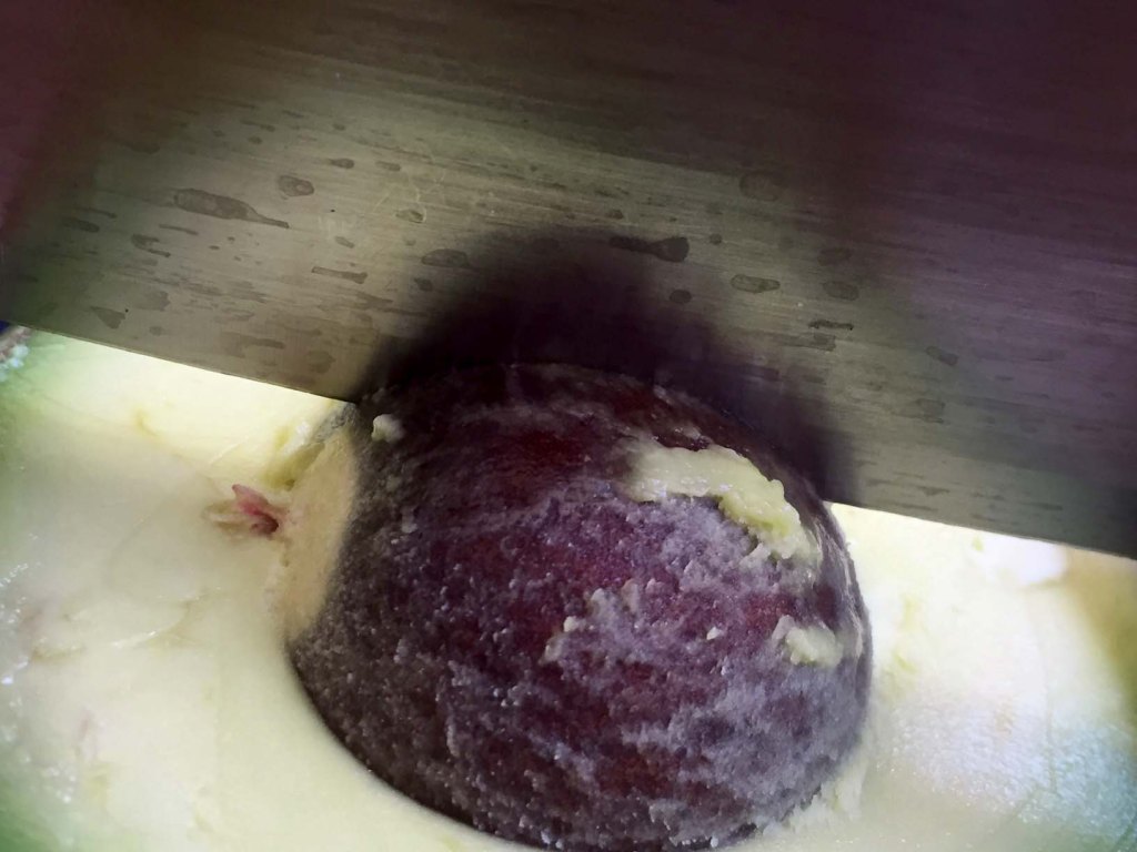 avocado