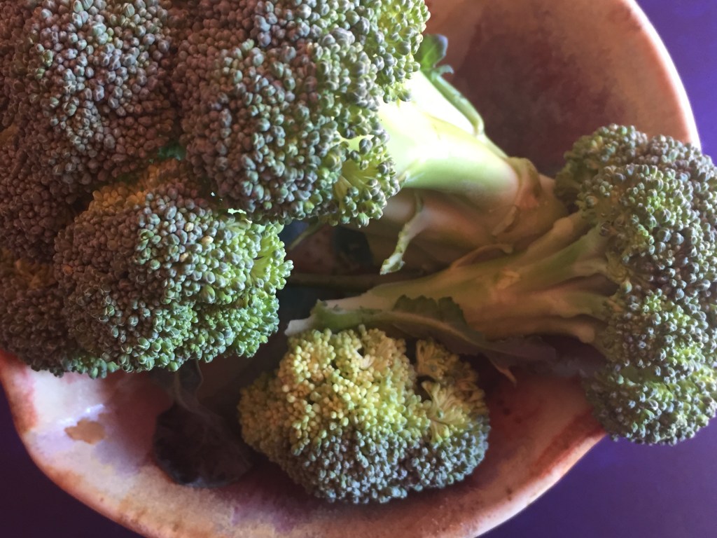 Broccoli