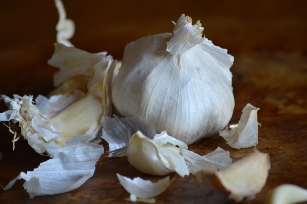 superfood-garlic